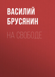 бесплатно читать книгу На свободе автора Василий Брусянин