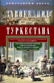 бесплатно читать книгу Завоевание Туркестана. Рассказы военной истории, очерки природы, быта и нравов туземцев в общедоступном изложении автора Константин Абаза