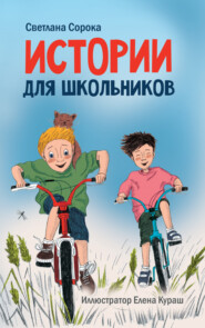 бесплатно читать книгу Истории для школьников автора Светлана Сорока