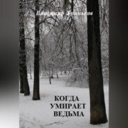 бесплатно читать книгу Когда умирает ведьма автора Владимир Гриньков