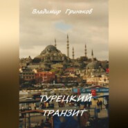 бесплатно читать книгу Турецкий транзит автора Владимир Гриньков