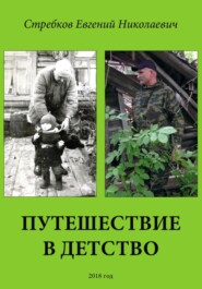 бесплатно читать книгу Путешествие в детство автора Евгений Стребков