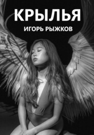 бесплатно читать книгу Крылья автора Игорь Рыжков