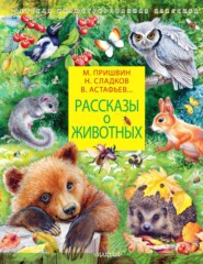 бесплатно читать книгу Рассказы о животных автора Николай Гарин-Михайловский