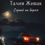 бесплатно читать книгу Случай на дороге автора Талия Живак