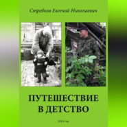бесплатно читать книгу Путешествие в детство автора Евгений Стребков