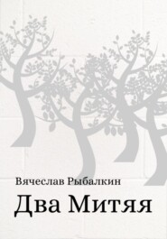 бесплатно читать книгу Два Митяя автора Вячеслав Рыбалкин