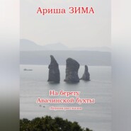 бесплатно читать книгу На берегу Авачинской бухты автора Ариша Зима