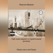 бесплатно читать книгу Ещё один кирпич в строительной рознице автора Максим Шишов