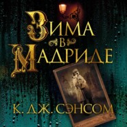 бесплатно читать книгу Зима в Мадриде автора Кристофер Сэнсом