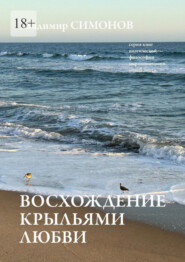 бесплатно читать книгу Восхождение крыльями любви. Серия книг поэтической философии миропонимания новой эпохи автора Владимир Симонов