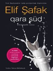 бесплатно читать книгу QARA SÜD автора ELİF ŞAFAK