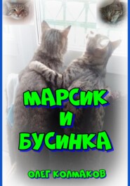 бесплатно читать книгу Марсик и Бусинка автора Олег Колмаков