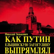 бесплатно читать книгу Как Путин ельцинскую загогулину выпрямлял автора Николай Зенькович