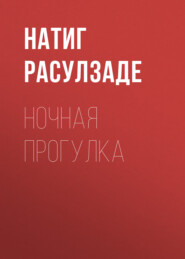 бесплатно читать книгу Ночная прогулка автора Натиг Расулзаде