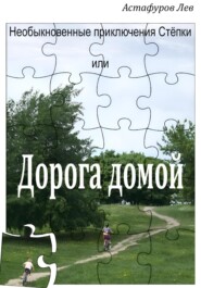 бесплатно читать книгу Необыкновенные приключения Стёпки, или Дорога домой автора Лев Астафуров