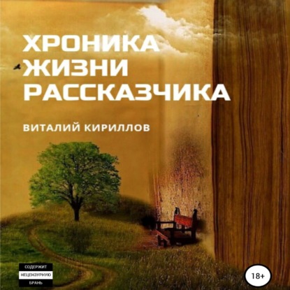 Хроника жизни рассказчика. Сборник рассказов