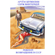 бесплатно читать книгу Ревизор: возвращение в СССР автора Артем Шумилин