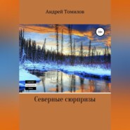 бесплатно читать книгу Северные сюрпризы автора Андрей Томилов