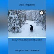 бесплатно читать книгу Воля, Чернышевский и Калачик автора Елена Петрушина