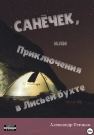 бесплатно читать книгу Санёчек, или Приключения в Лисьей бухте автора Александр Лебедев