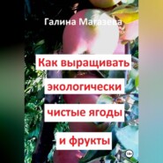 бесплатно читать книгу Как выращивать экологически чистые ягоды и фрукты автора  Галина Магазева