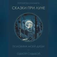 бесплатно читать книгу Сказки при луне. Часть первая автора Елизавета Порфирова