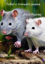 бесплатно читать книгу Побег с птичьего рынка автора Alice Rainey