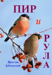 бесплатно читать книгу Пир и Рула автора Ярослав Зубковский