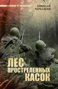 бесплатно читать книгу Лес простреленных касок автора Николай Черкашин