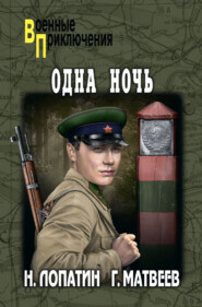 бесплатно читать книгу Одна ночь автора Николай Лопатин