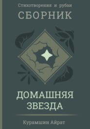 бесплатно читать книгу Домашняя звезда автора Айрат Курамшин