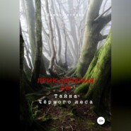 бесплатно читать книгу Приключения ДД. Тайна Чёрного леса автора Евгения Ляшко