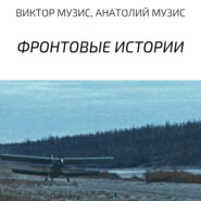 бесплатно читать книгу Фронтовые истории автора Анатолий Музис