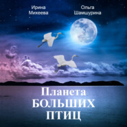 бесплатно читать книгу Планета Больших Птиц автора Ирина Михеева