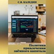 бесплатно читать книгу Политика привлечения заёмного капитала автора Сергей Каледин