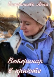 бесплатно читать книгу Ветеринар в приюте автора Анна Епифанцева