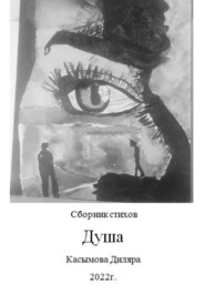 бесплатно читать книгу Душа автора Диляра Касымова