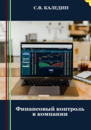 бесплатно читать книгу Финансовый контроль в компании автора Сергей Каледин