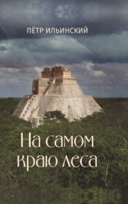 бесплатно читать книгу На самом краю леса автора Петр Ильинский
