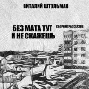 бесплатно читать книгу Без мата тут и не скажешь автора Виталий Штольман