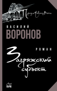 бесплатно читать книгу Загряжский субъект автора Василий Воронов