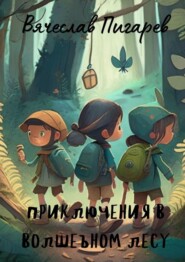 бесплатно читать книгу Приключения в волшебном лесу автора Вячеслав Пигарев