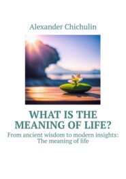 бесплатно читать книгу What is the meaning of life? From ancient wisdom to modern insights: The meaning of life автора Alexander Chichulin