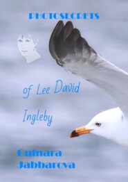 бесплатно читать книгу Photosecrets of Lee David Ingleby автора Gulnara Jabbarova