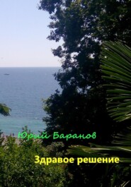 бесплатно читать книгу Здравое решение автора Юрий Баранов