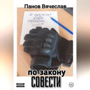 бесплатно читать книгу По закону совести автора Вячеслав Панов