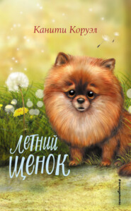 бесплатно читать книгу Летний щенок автора Канити Коруэл