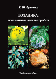 бесплатно читать книгу Ботаника: жизненные циклы грибов автора Константин Ориненко