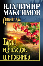бесплатно читать книгу Бусы из плодов шиповника автора Владимир Максимов